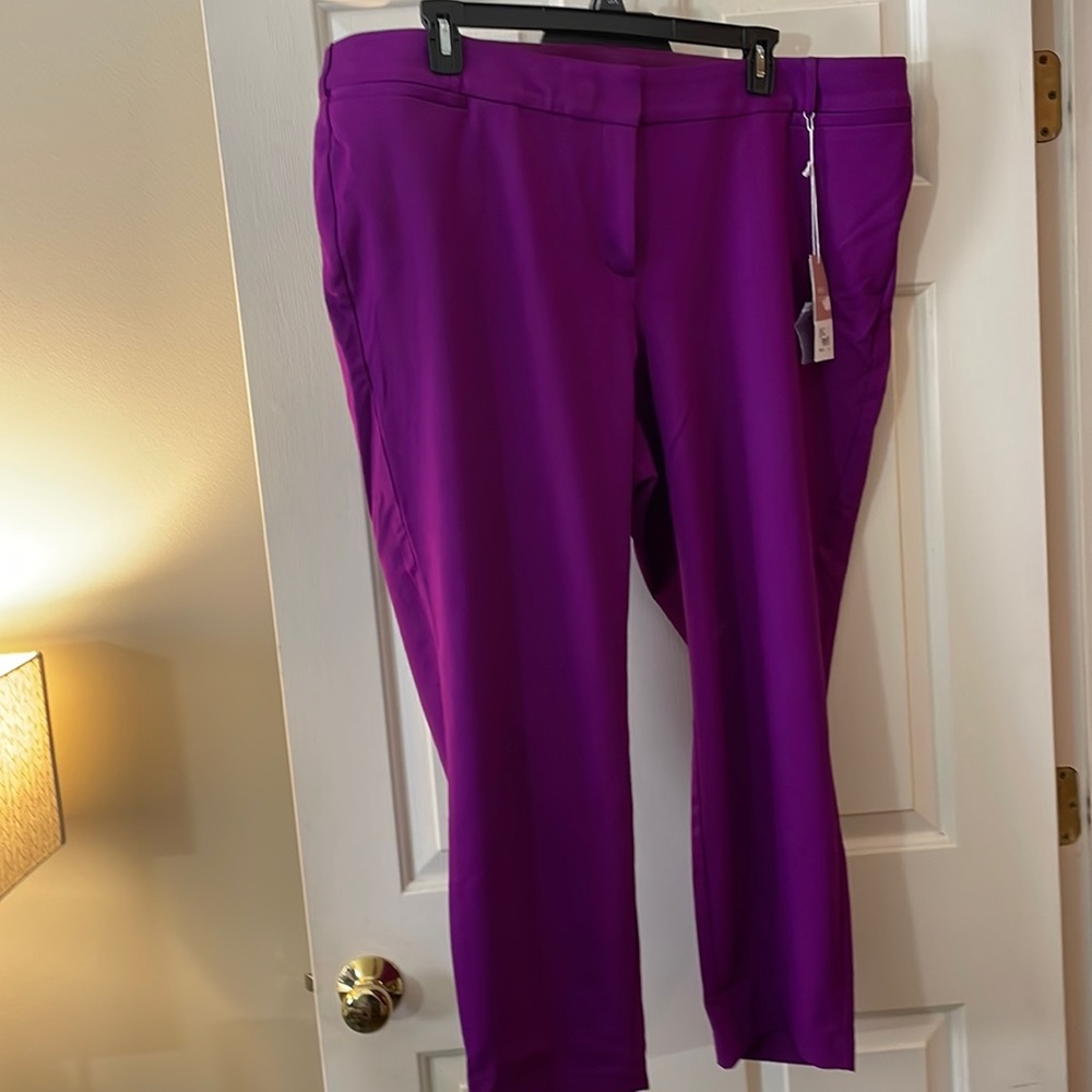 Lane Bryant the Allie skinny pant